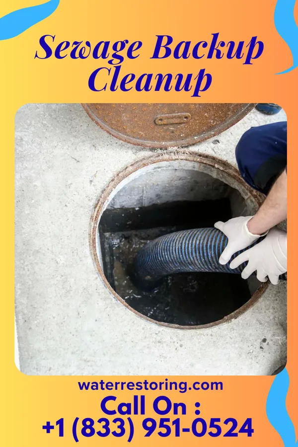 Sewage Backup Cleanup in Callisburg, TX