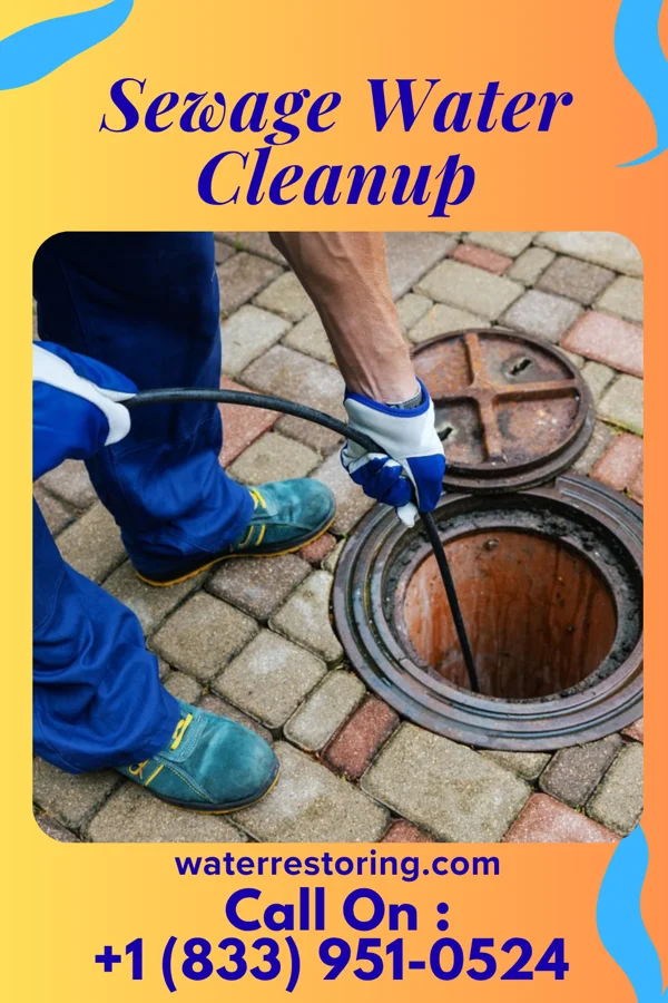 Sewage Water Cleanup in Callisburg, TX